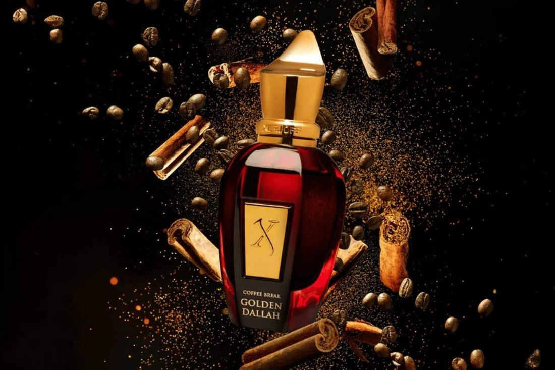 20 Best International Niche Perfume Brands in Dubai