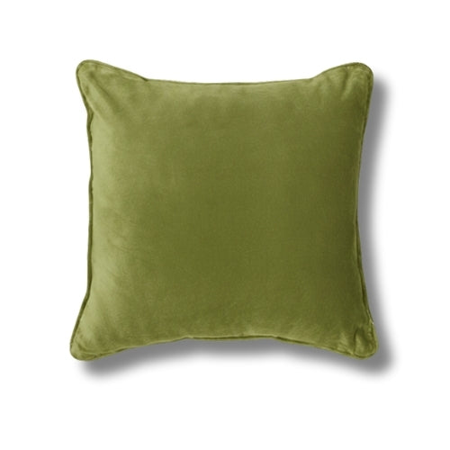 Pear Green Cushion