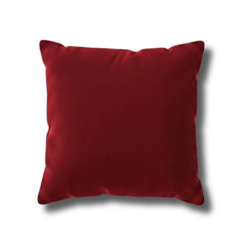 Scarlet Red Cushion