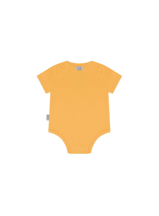Baby Boys and Girls Candy 100% Organic Cotton Loose Fit Bodysuit